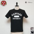 画像1: HARVARD"HARVARD UNIVERSITY"C/N S/S 6oz オールドプリントT / Audience (1)