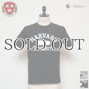 画像: HARVARD"HARVARD UNIVERSITY"C/N S/S 6oz オールドプリントT / Audience