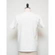 画像10: 【RE PRICE/価格改定】ARIZONA"ARIZONA LOGO" C/N S/S 6.6oz オールドプリントT / Audience (10)