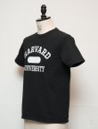 画像2: HARVARD"HARVARD UNIVERSITY"C/N S/S 6oz オールドプリントT [Lady's] / Audience (2)