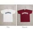 画像12: 【RE PRICE/価格改定】HARVARD"HARVARD"C/N S/S 6oz オールドプリントT / Audience (12)