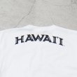 画像19: 【RE PRICE/価格改定】University of Hawaii "HAWAII" 7.1oz米綿丸胴オールドプリントクルーネックポケットT / Audience (19)