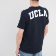 画像3: 【RE PRICE / 価格改定】University of California, Los Angeles "Bruin Bear" 7.1oz米綿丸胴オールドプリントクルーネックポケットT / Audience (3)