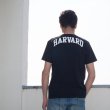 画像8: 【RE PRICE / 価格改定】Harvard University "HARVARD" 7.1oz米綿丸胴オールドプリントクルーネックポケットT / Audience (8)