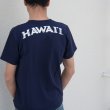 画像11: 【RE PRICE/価格改定】University of Hawaii "HAWAII" 7.1oz米綿丸胴オールドプリントクルーネックポケットT / Audience (11)