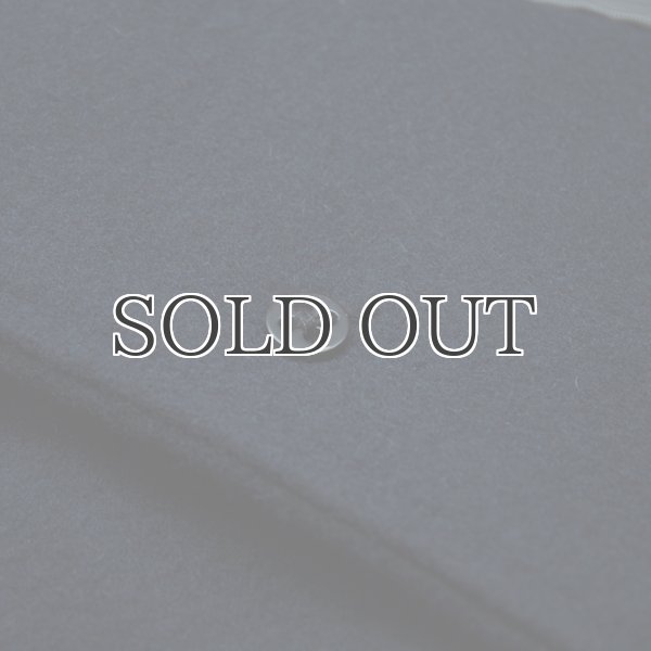 画像20: 550gピュアウールメルトン脱着フード付サーモライトキルトステンカラーコート [Lady's]【送料無料】 / Audience【取寄せ対応可能】 (20)