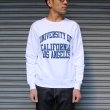 画像10: 【RE PRICE / 価格改定】UCLA" UNIVERSITY OF CALIFORNIA LOS ANGELES"C/N L/S スウェット / Audience (10)