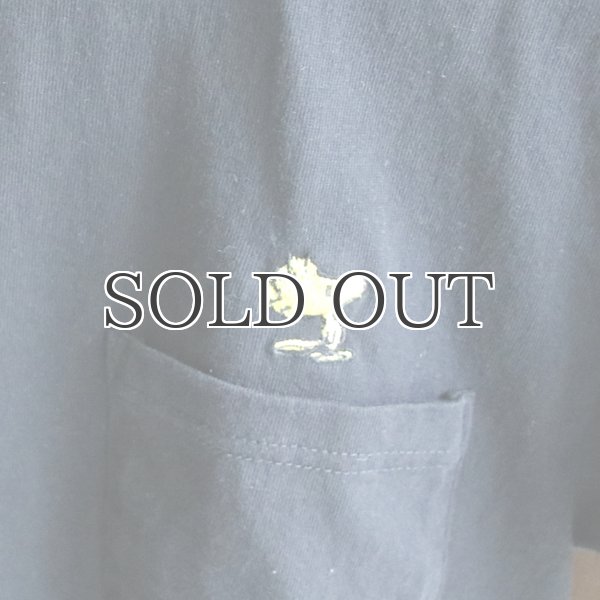 画像3: Snoopy ”ウッドストック”刺繍ポケット付きTEE 【Audience】 (3)