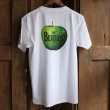 画像11: 【RE PRICE / 価格改定】ビートルズ ”グリーンApple”ポケットTEE　/【Audience】 (11)