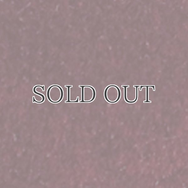 画像17: ベロアマオカラージャケット / Audience (17)