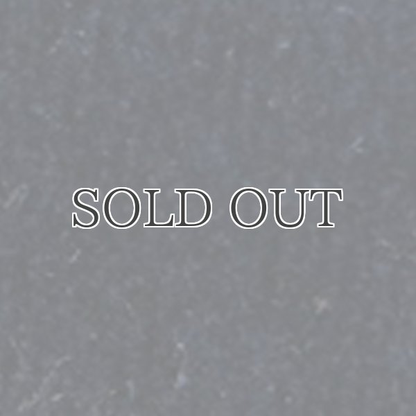 画像15: ベロアマオカラージャケット / Audience (15)