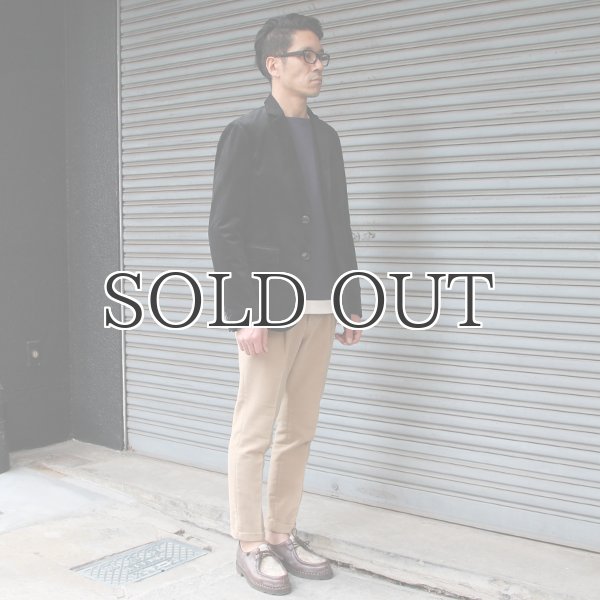 画像8: ベロア2Bテーラードジャケット / Audience (8)