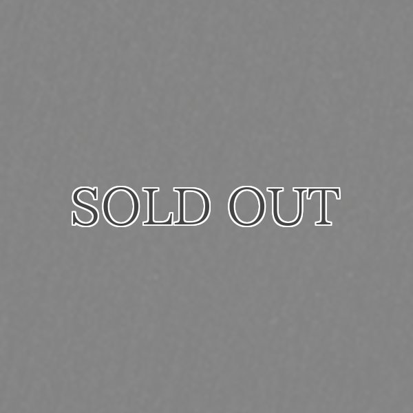 画像11: 4WAYストレッチナイロン スタンドフードベスト［Lady's］【送料無料】Audience (11)