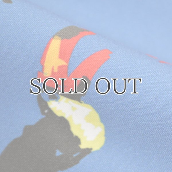 画像20: "Coffs Blue "ショーツ【送料無料】/Franks (20)