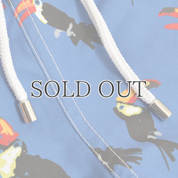 画像15: "Coffs Blue "ショーツ【送料無料】/Franks (15)