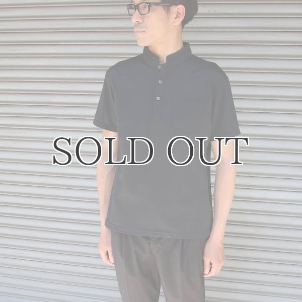 画像10: Coolmax（クールマックス）鹿の子 スモールカラーポロシャツ【MADE IN JAPAN】『日本製』/ Upscape Audience (10)