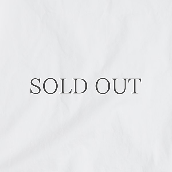 画像24: 吊り編み天竺V/ネック L/S Tee【MADE IN TOKYO】『東京製』/ Upscape Audience (24)