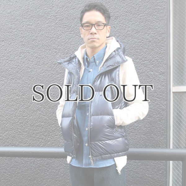 画像8: 『ダウン＆フェザー』DICROS DNA Lightスタンドフードダウンベスト 【送料無料】 / Audience (8)