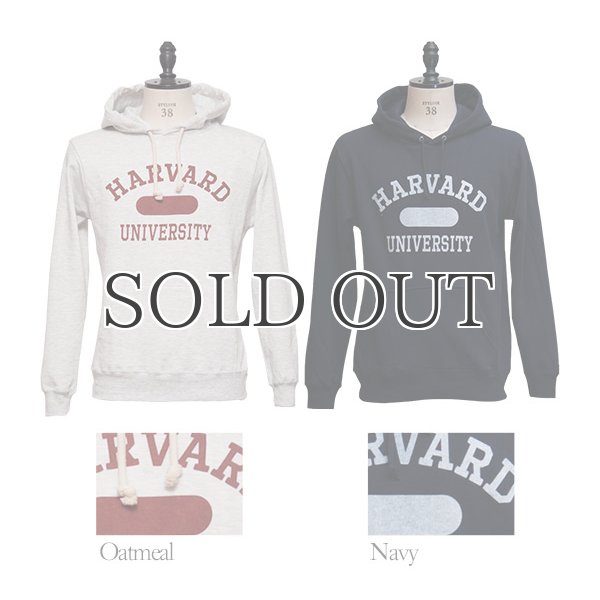 画像12: HARVARD"HARVARD UNIVERSITY"フーデッドライトパーカー / Audience (12)