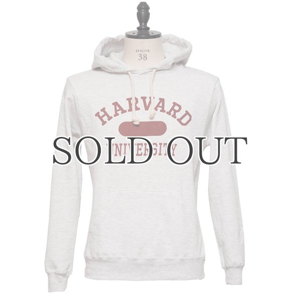 画像9: HARVARD"HARVARD UNIVERSITY"フーデッドライトパーカー / Audience (9)