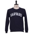画像4: HARVARD"HARVARD"クルーネック長袖スウェット / Audience (4)