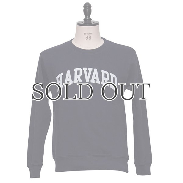 画像4: HARVARD"HARVARD"クルーネック長袖スウェット / Audience (4)