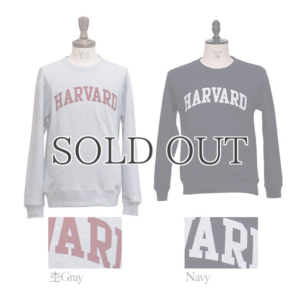 画像6: HARVARD"HARVARD"クルーネック長袖スウェット / Audience (6)
