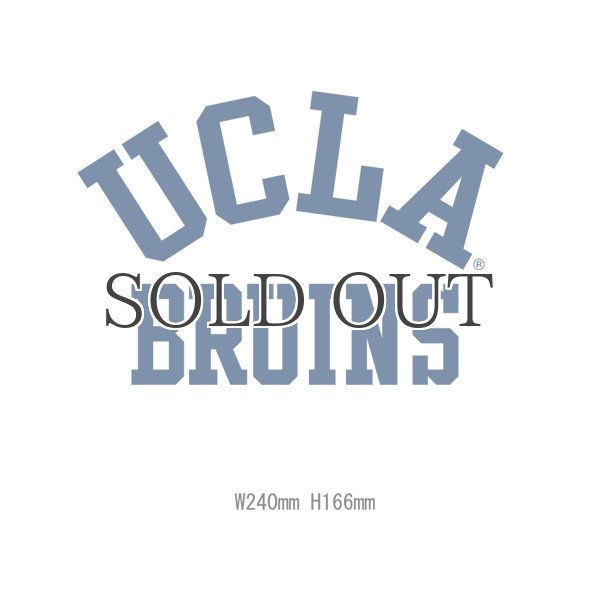 画像8: 6.2oz丸胴UCLA"BRUINS"オールドプリントTEE / Audience (8)