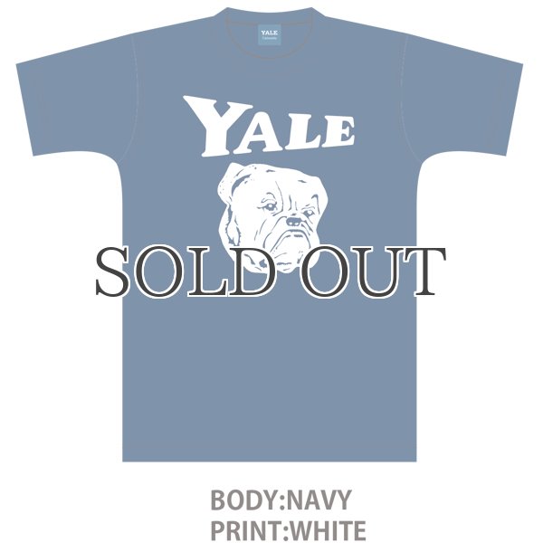 画像9: 6.2オンス丸胴BODY YALE"Handsome-YALEオールドプリント"TEE / Audience (9)