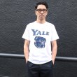 画像7: 6.2オンス丸胴BODY YALE"Handsome-YALEオールドプリント"TEE / Audience (7)
