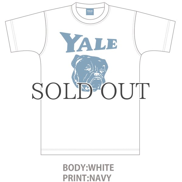画像8: 6.2オンス丸胴BODY YALE"Handsome-YALEオールドプリント"TEE / Audience (8)
