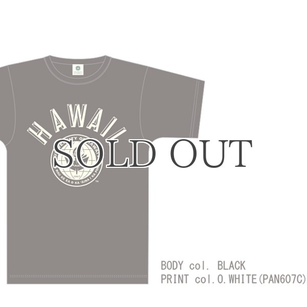 画像12: 6.2oz丸胴HAWAII”UNIVERSITY OF HAWAII”オールドプリントTEE / Audience (12)