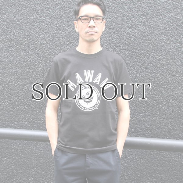 画像6: 6.2oz丸胴HAWAII”UNIVERSITY OF HAWAII”オールドプリントTEE / Audience (6)