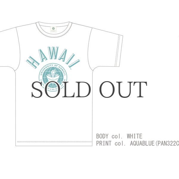 画像10: 6.2oz丸胴HAWAII”UNIVERSITY OF HAWAII”オールドプリントTEE / Audience (10)