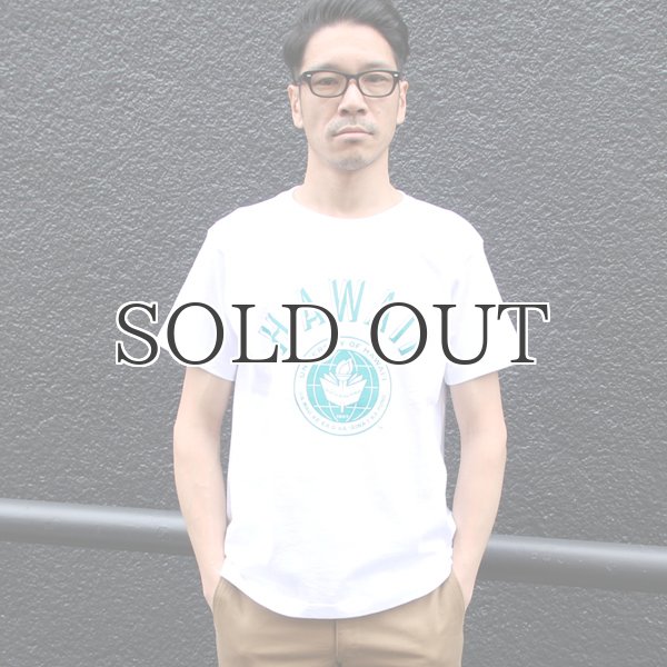 画像8: 6.2oz丸胴HAWAII”UNIVERSITY OF HAWAII”オールドプリントTEE / Audience (8)