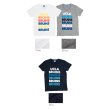 画像3: 【RE PRICE / 価格改定】 UCLA"BRUINS"コットン/三素材混カレッジプリント半袖VネックTシャツ / Audience (3)