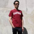 画像7: 【RE PRICE/価格改定】HARVARD"HARVARD"C/N S/S 6oz オールドプリントT / Audience (7)