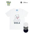 画像6: 【RE PRICE / 価格改定】 UCLA"Sleepy Bear"コットン/三素材混カレッジプリント半袖VネックTシャツ / Audience (6)