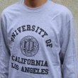 画像11: UCLA"4段カレッジプリント" 6oz米綿丸胴L/S Tee/ Audience (11)