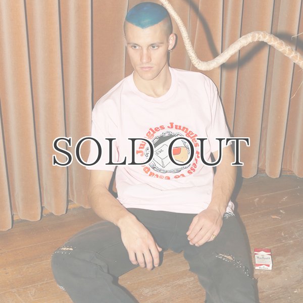 画像3: JUNGLES【ジャングルズ】Press to escape S/S Tee  (3)