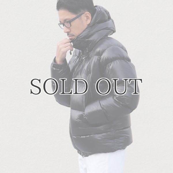 画像3: 『ダウン＆フェザー』DICROS DNA Lightマウンテニアフードダウンジャケット 【送料無料】 / Audience  (3)