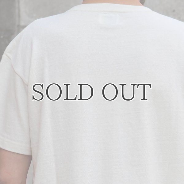 画像11: Riding High / 12/-JERSEY FLOCKY PRINT S/S TEE (ALOHA)【MADE IN JAPAN】『日本製』 (11)