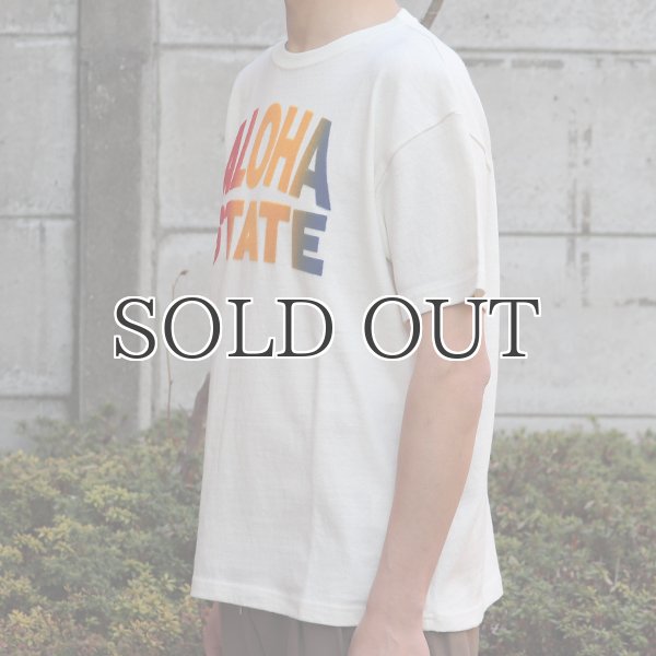 画像6: Riding High / 12/-JERSEY FLOCKY PRINT S/S TEE (ALOHA)【MADE IN JAPAN】『日本製』 (6)