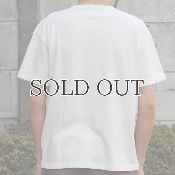 画像8: Riding High / 12/-JERSEY FLOCKY PRINT S/S TEE (ALOHA)【MADE IN JAPAN】『日本製』 (8)