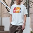 画像4: Riding High / 12/-JERSEY FLOCKY PRINT S/S TEE (ALOHA)【MADE IN JAPAN】『日本製』 (4)