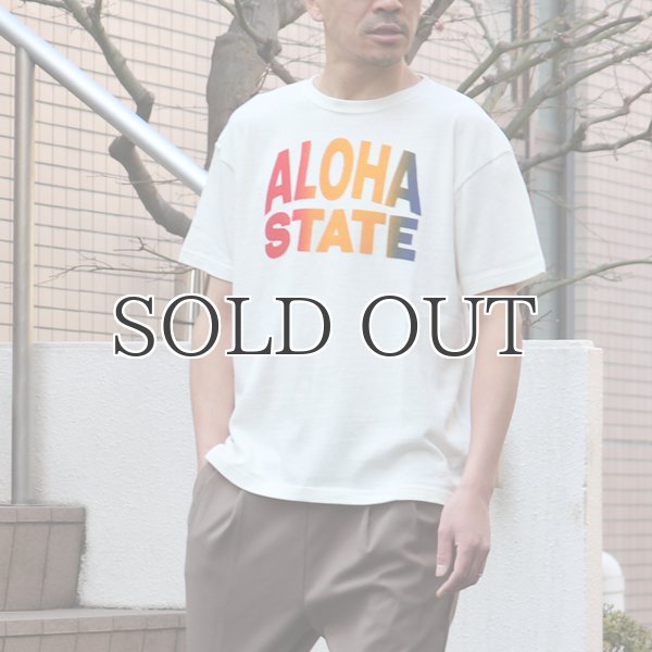 画像4: Riding High / 12/-JERSEY FLOCKY PRINT S/S TEE (ALOHA)【MADE IN JAPAN】『日本製』 (4)