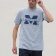 画像4: 【RE PRICE / 価格改定】MICHIGAN "M" C/N S/S 6.6oz オールドプリントT / Audience (4)