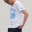 画像5: 【RE PRICE / 価格改定】 UCLA"UNIVERSITY OF CALIFORNIA LOS ANGELES"三素材混カレッジプリント半袖VネックTシャツ / Audience (5)