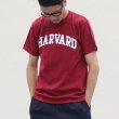 画像5: 【RE PRICE/価格改定】HARVARD"HARVARD"C/N S/S 6oz オールドプリントT / Audience (5)