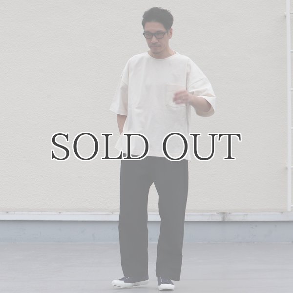 画像8: グリストーンW 綿ナイロン高密度ギャバ 2タック ワイドパンツ【MADE IN JAPAN】『日本製』/ Upscape Audience (8)